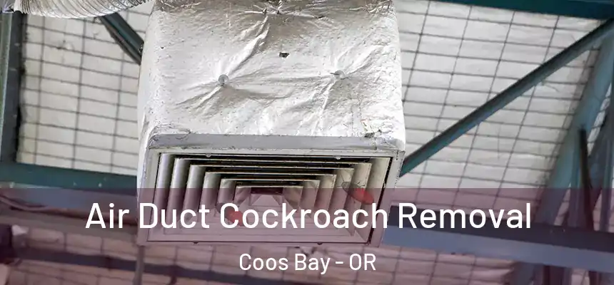 Air Duct Cockroach Removal Coos Bay - OR