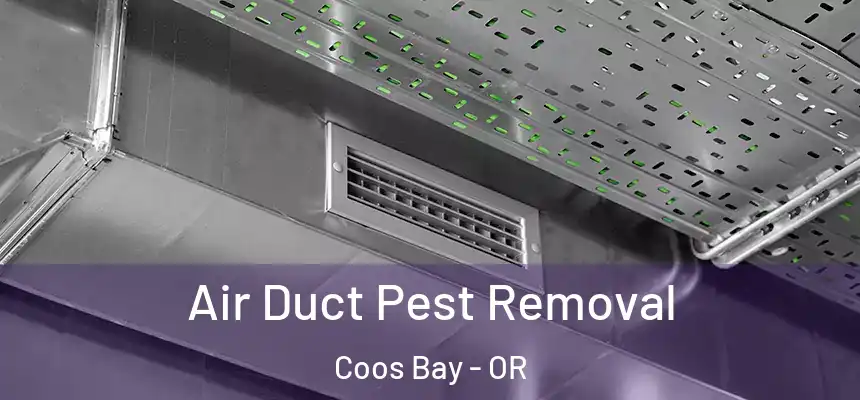 Air Duct Pest Removal Coos Bay - OR