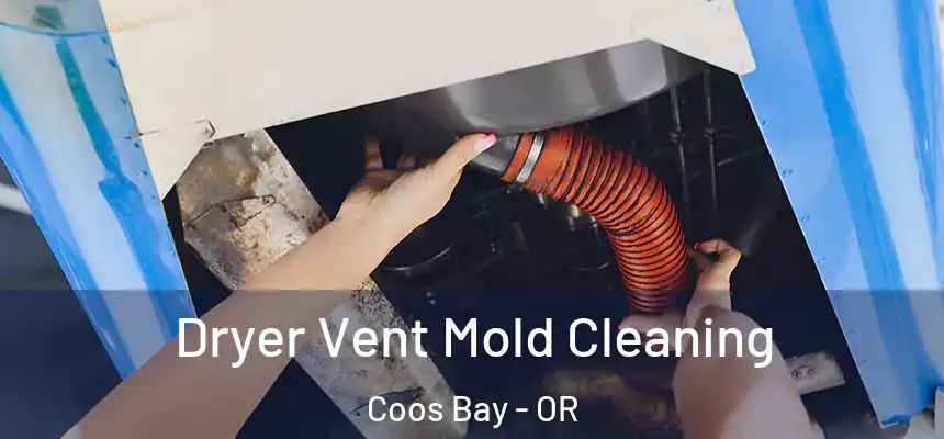 Dryer Vent Mold Cleaning Coos Bay - OR