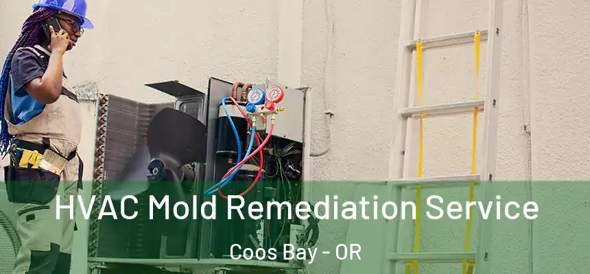 HVAC Mold Remediation Service Coos Bay - OR