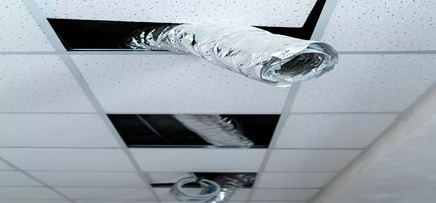 Affordable HVAC Sanitizing After Pest Removal in Coos Bay