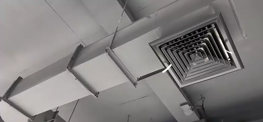 Our Pest Removal From Ducts Services in Coos Bay, OR