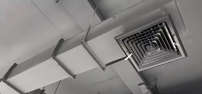 Our Rodent Droppings In Vents Services in Coos Bay, OR