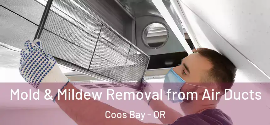 Mold & Mildew Removal from Air Ducts Coos Bay - OR