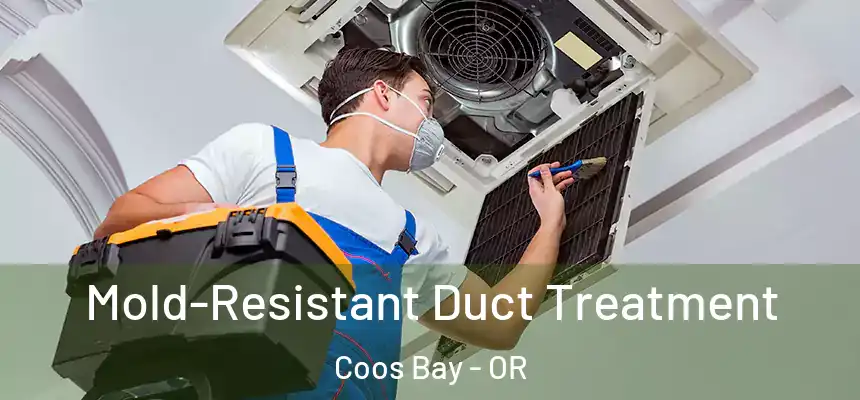 Mold-Resistant Duct Treatment Coos Bay - OR