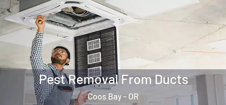 Pest Removal From Ducts Coos Bay - OR