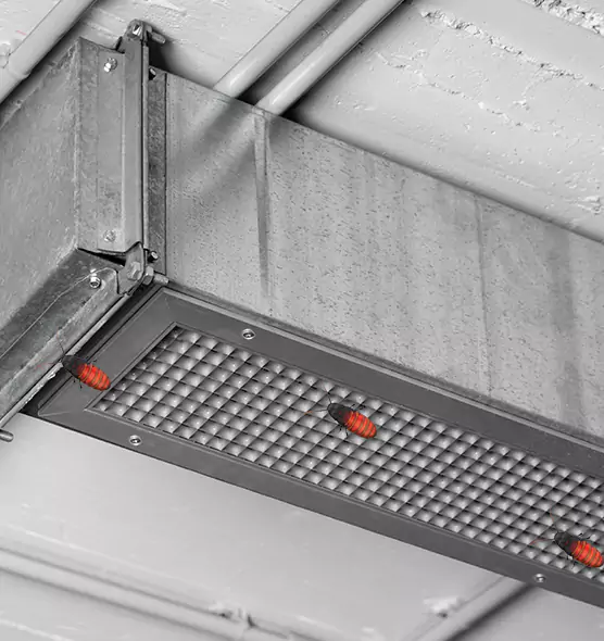 Affordable Insect Removal from Air Ducts in Coos Bay, OR