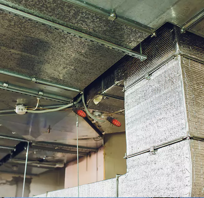 Why Homeowners & Businesses Trust Us in Coos Bay, OR?