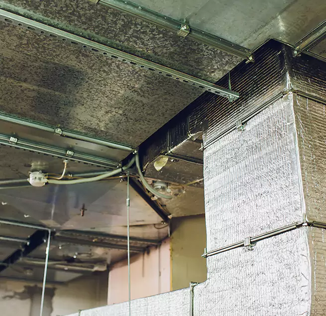 Why Homeowners & Businesses Trust Us in Coos Bay, OR?